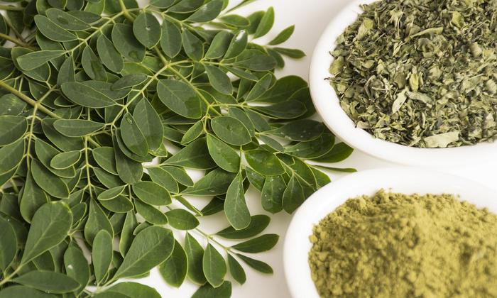 Moringa leave