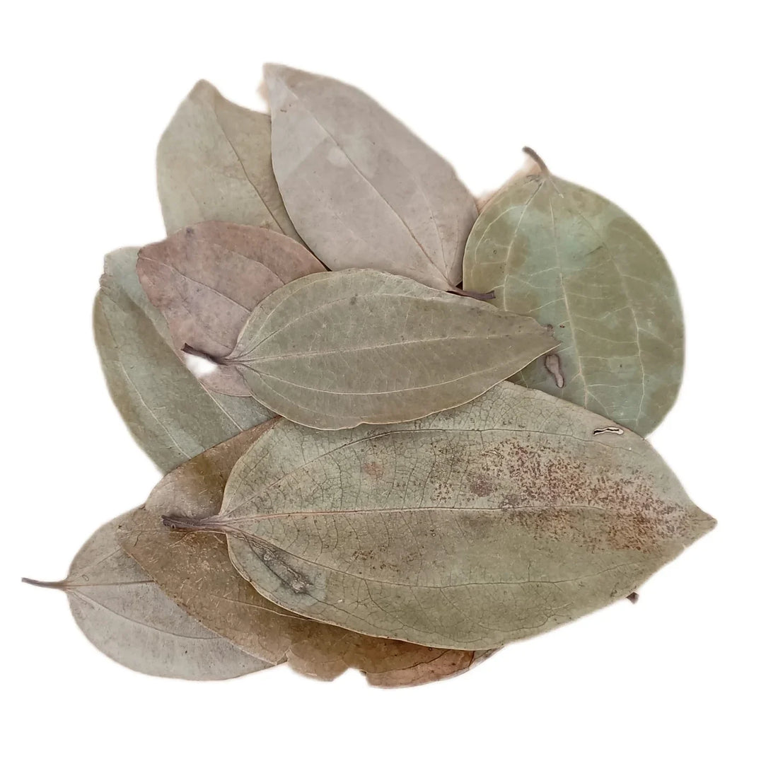 Cinnamon leaves