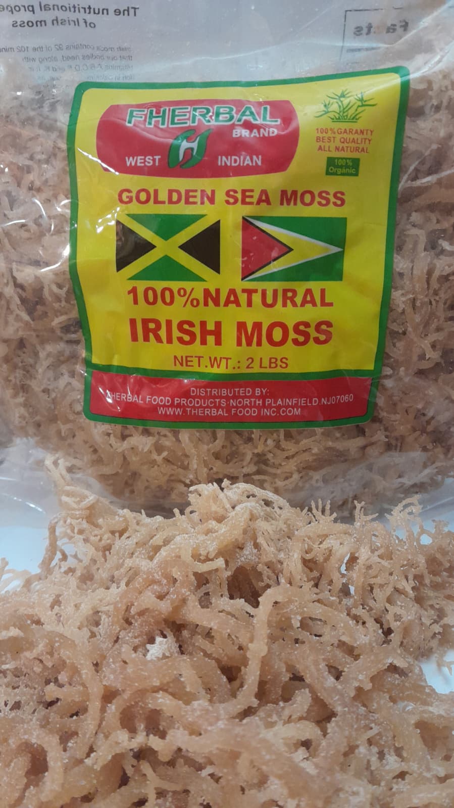 GOLDEN SEA MOSS